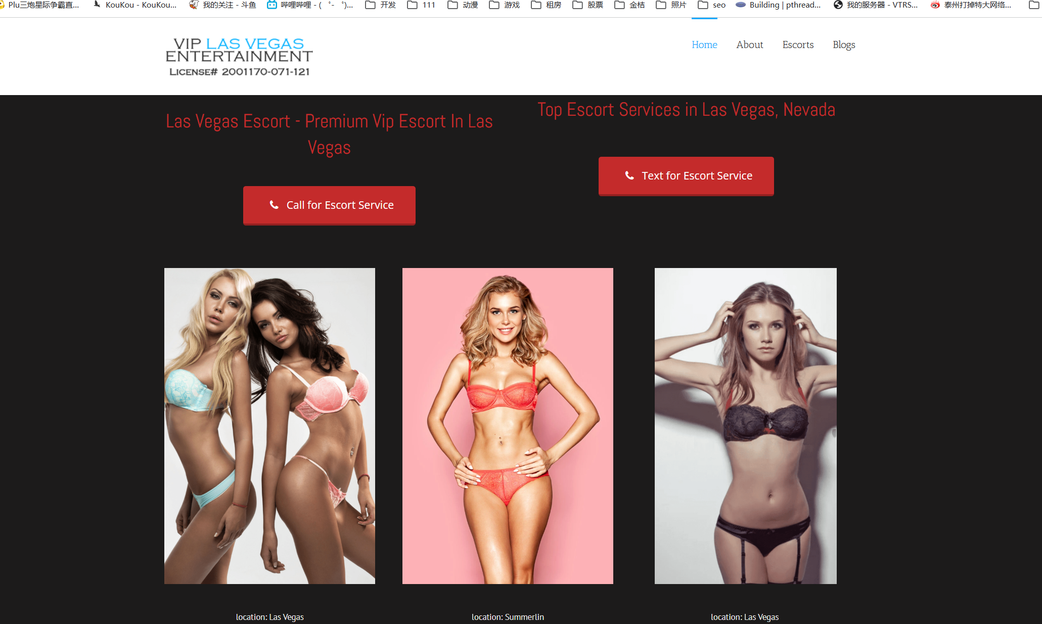 Vip Las Vegas Entertainment