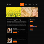 Emily - Escort services in Brasov