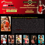 Chandigarh Escorts - Escort services in Indore